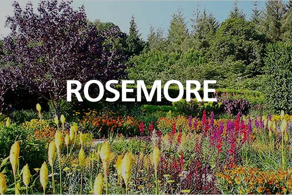Rosemoor Gardens Coach Day Excurisons